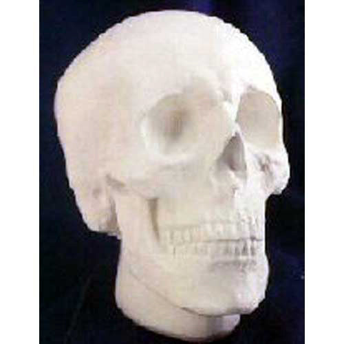 [src: https://orlandi-production.s3.amazonaws.com/products/104922/large.jpg]