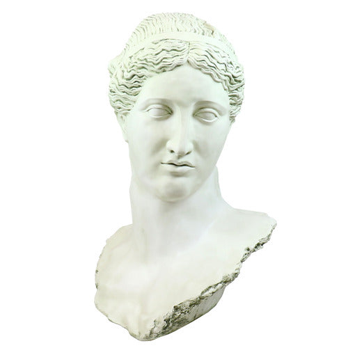 [src: https://orlandi-production.s3.amazonaws.com/products/106860/large.jpg]