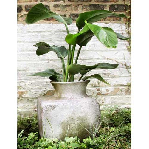 [src: https://orlandi-production.s3.amazonaws.com/products/111389/large.jpg]