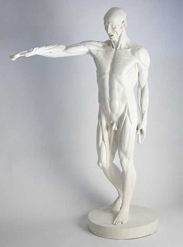 [src: https://orlandi-production.s3.amazonaws.com/products/104918/large.jpg]