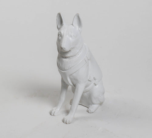 [src: https://orlandi-production.s3.amazonaws.com/products/115029/large.jpg]