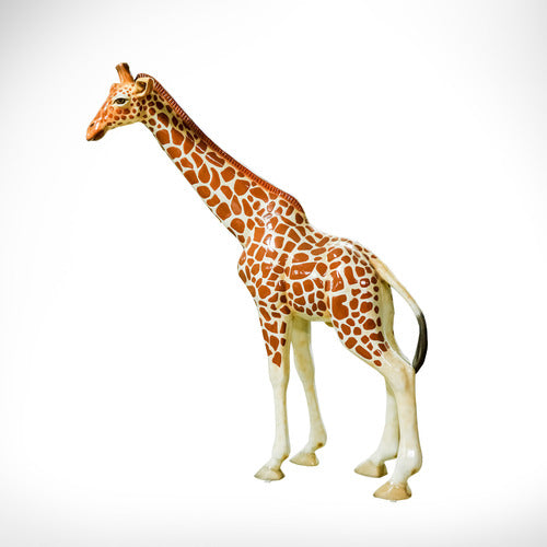 [src: https://orlandi-production.s3.amazonaws.com/products/114623/large.jpg]