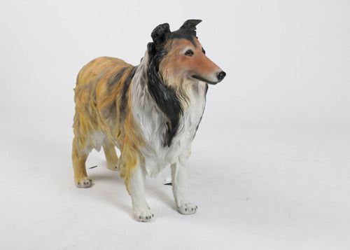 [src: https://orlandi-production.s3.amazonaws.com/products/113930/large.jpg]