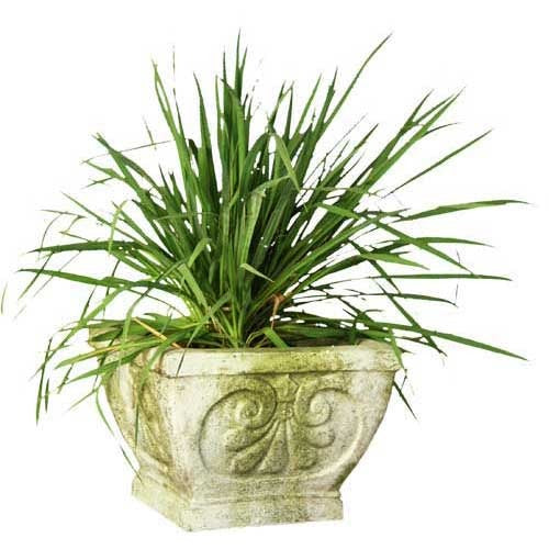 [src: https://orlandi-production.s3.amazonaws.com/products/108104/large.jpg]