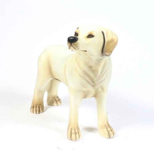 [src: https://orlandi-production.s3.amazonaws.com/products/116091/large.jpg]