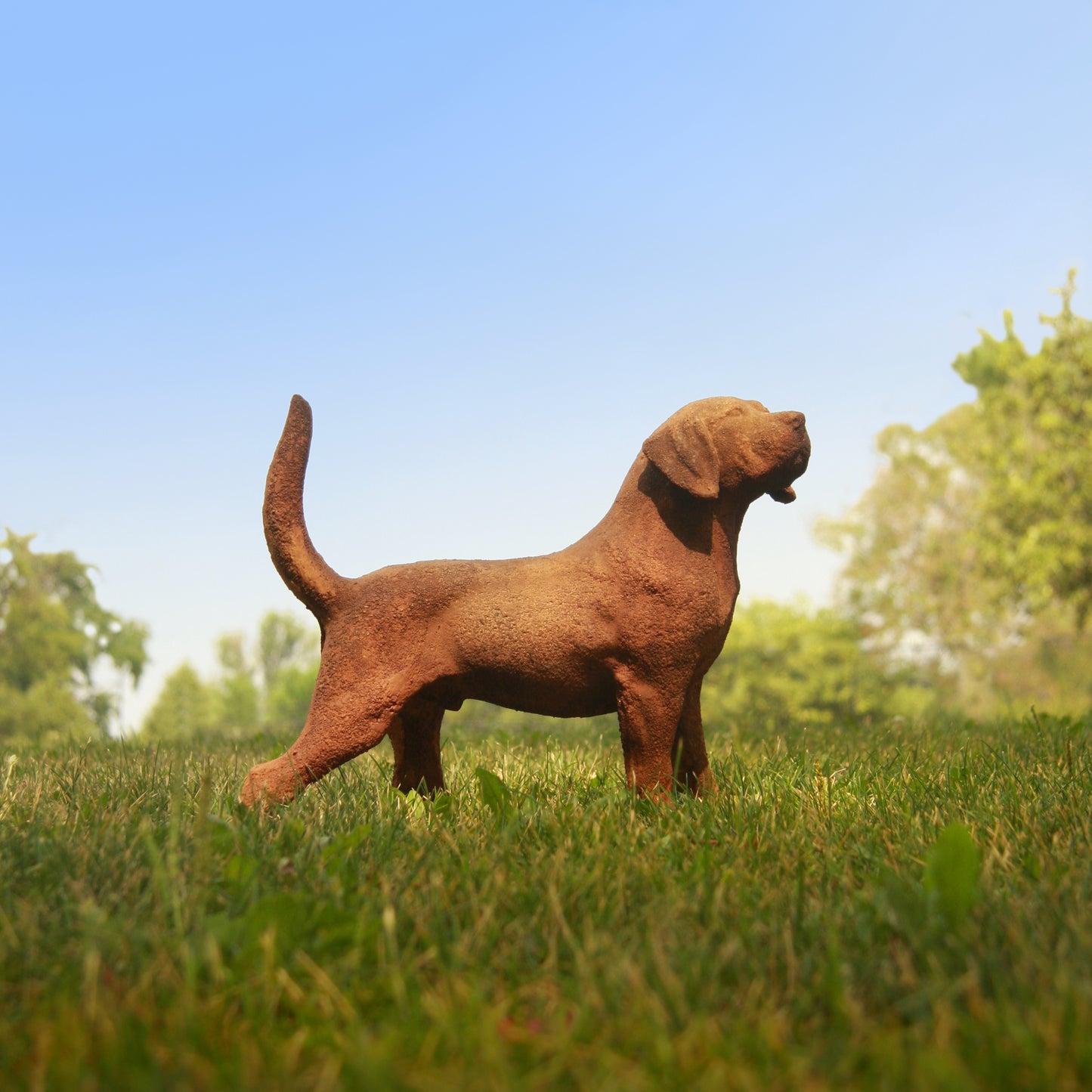 [src: https://orlandi-production.s3.amazonaws.com/images/2530/original.jpg]