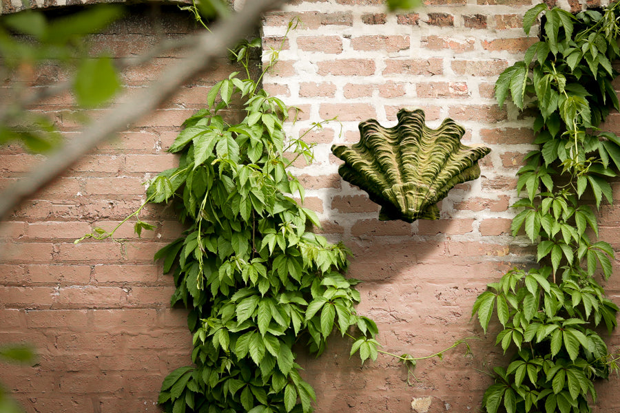 [src: https://orlandi-production.s3.amazonaws.com/images/1879/original.jpg]