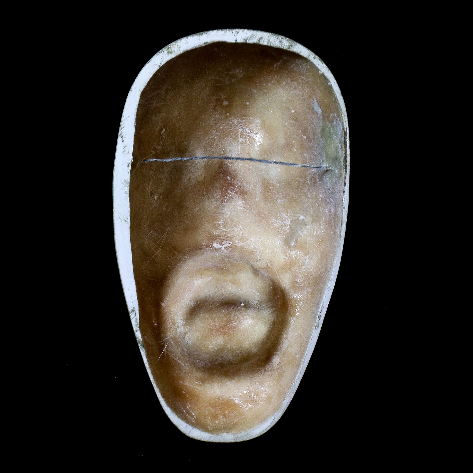 [src: https://orlandi-production.s3.amazonaws.com/images/4656/original.jpg]