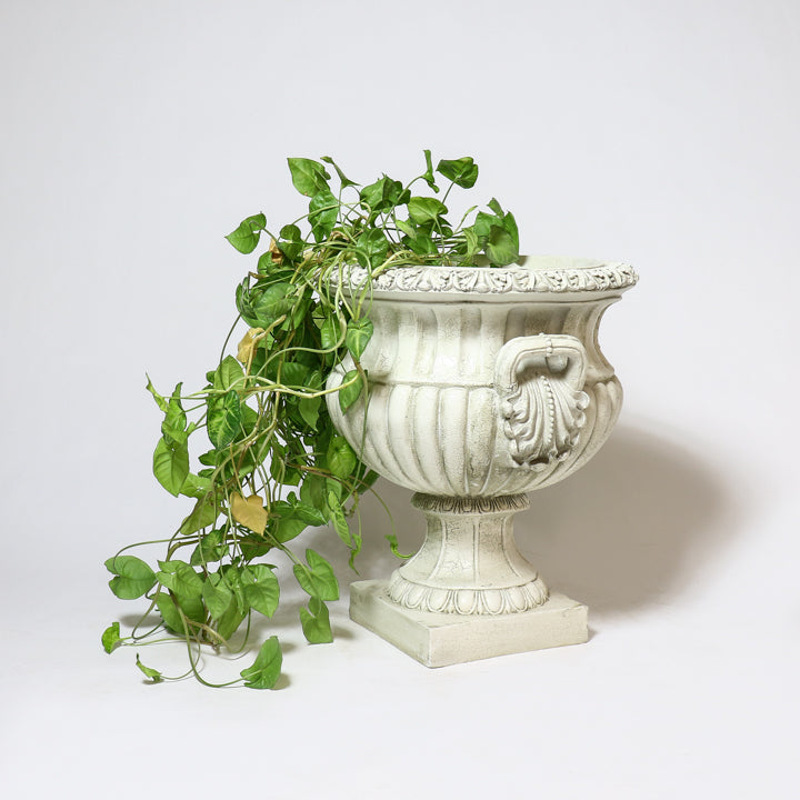 [src: https://orlandi-production.s3.amazonaws.com/images/3890/original.jpg]